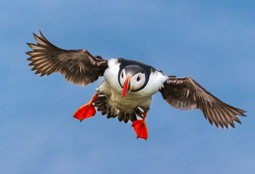 Photograph by Piotr Mickevic