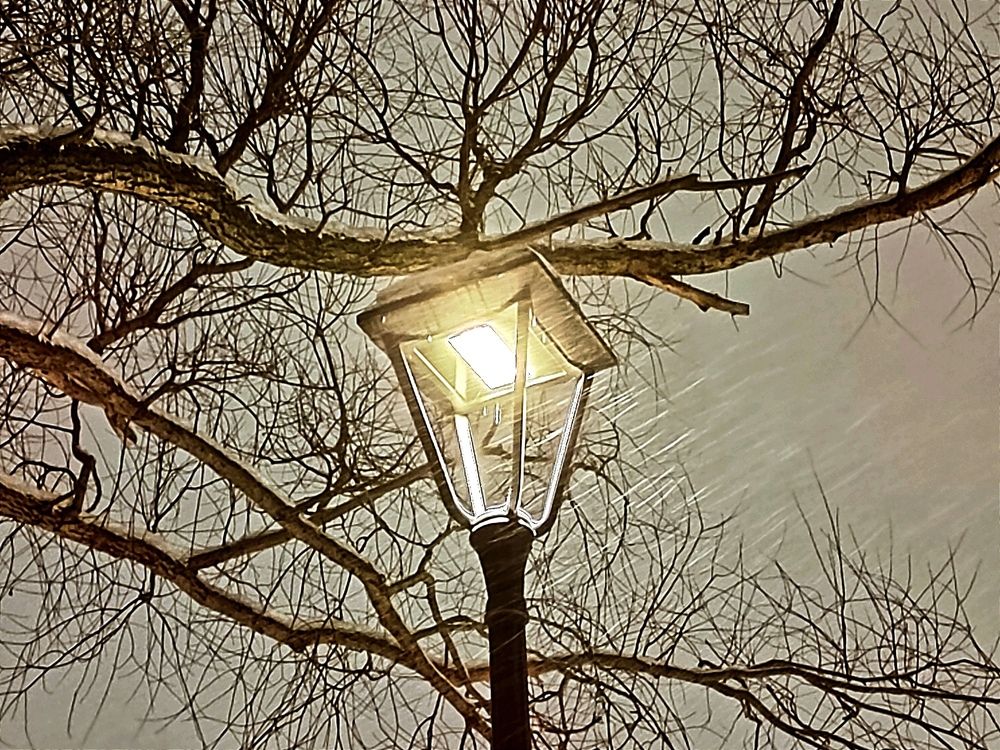 Photograph by Елена Затевалова