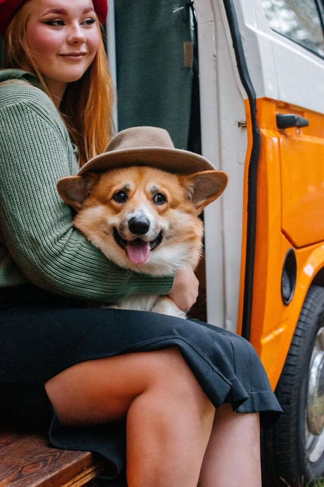 Photograph by Наталья Мерончук