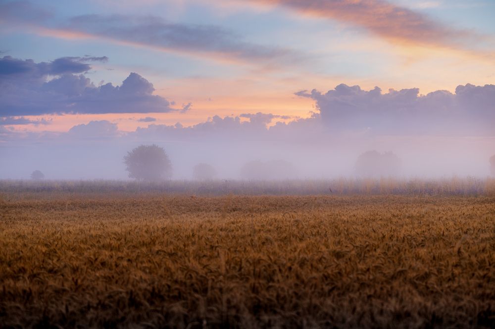 Photograph by Acrement Valentina