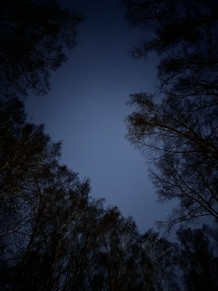 Photograph by Татьяна