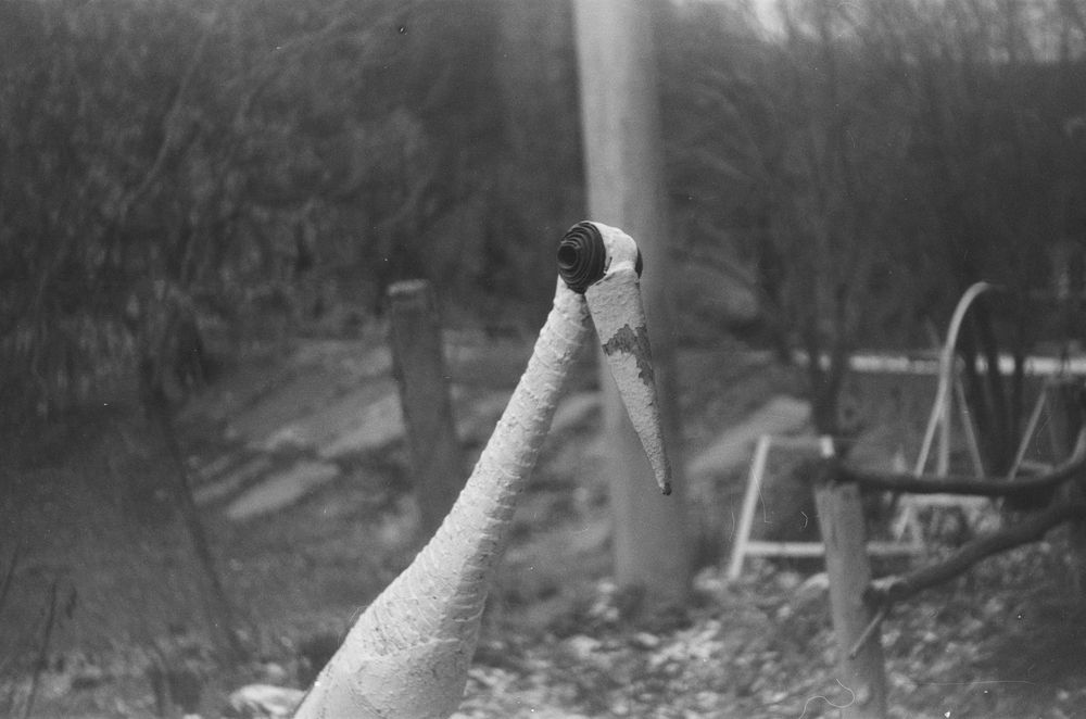 Photograph by Павел