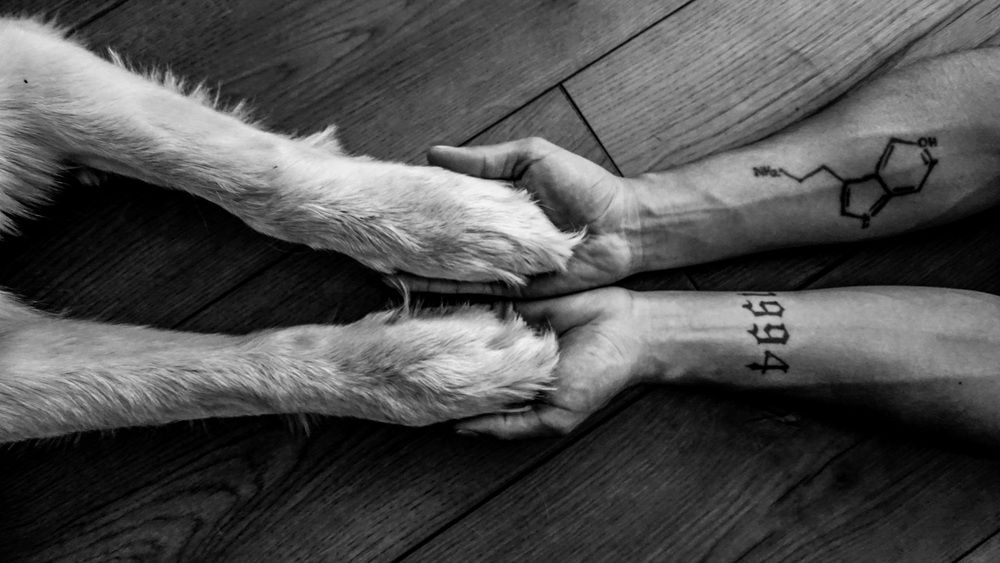 Photo #11847749