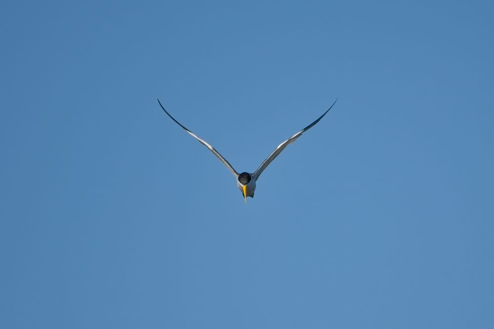 Photograph by Jerome Foster