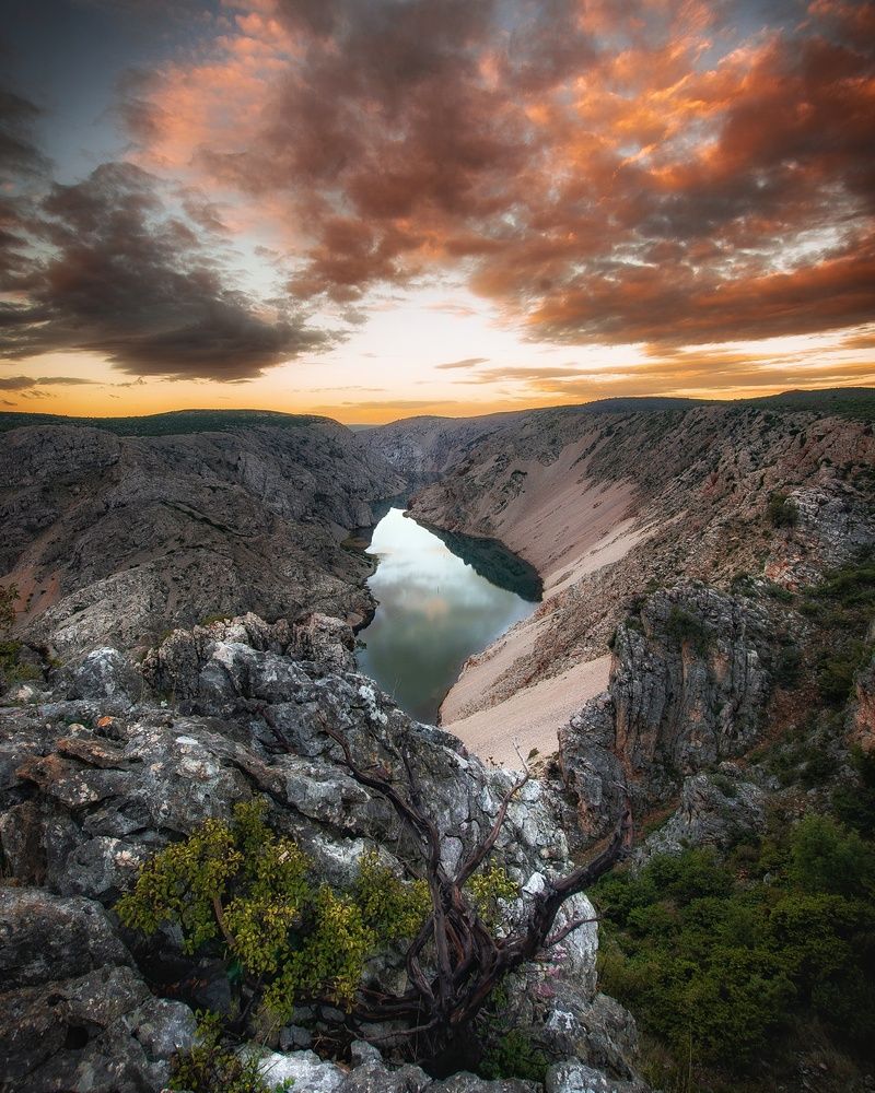 Photograph by Zoran Stegnjaic