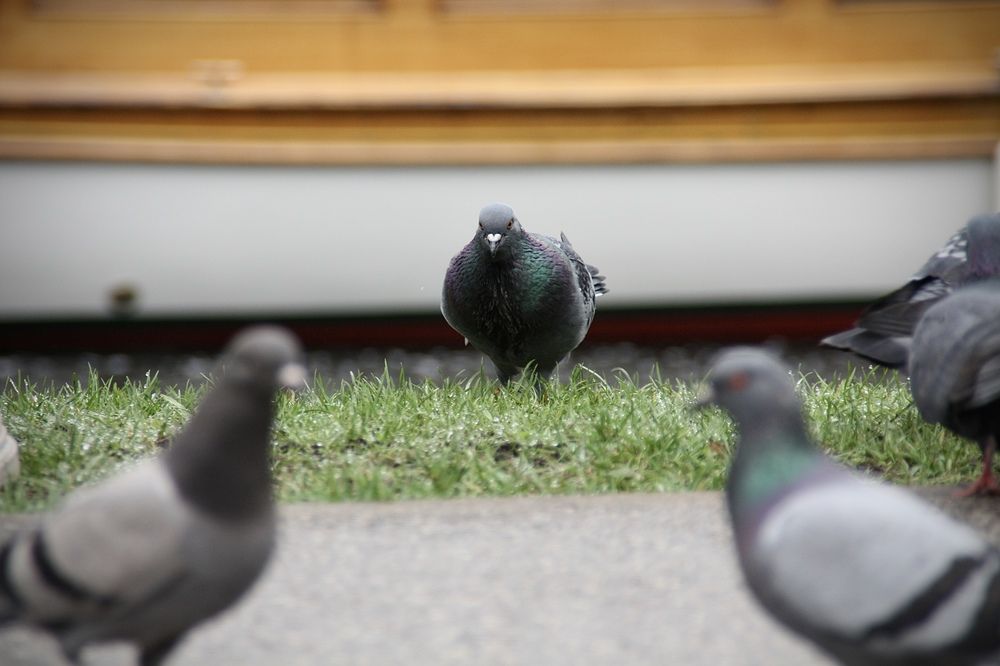 Photograph by Viktorija Bočarova