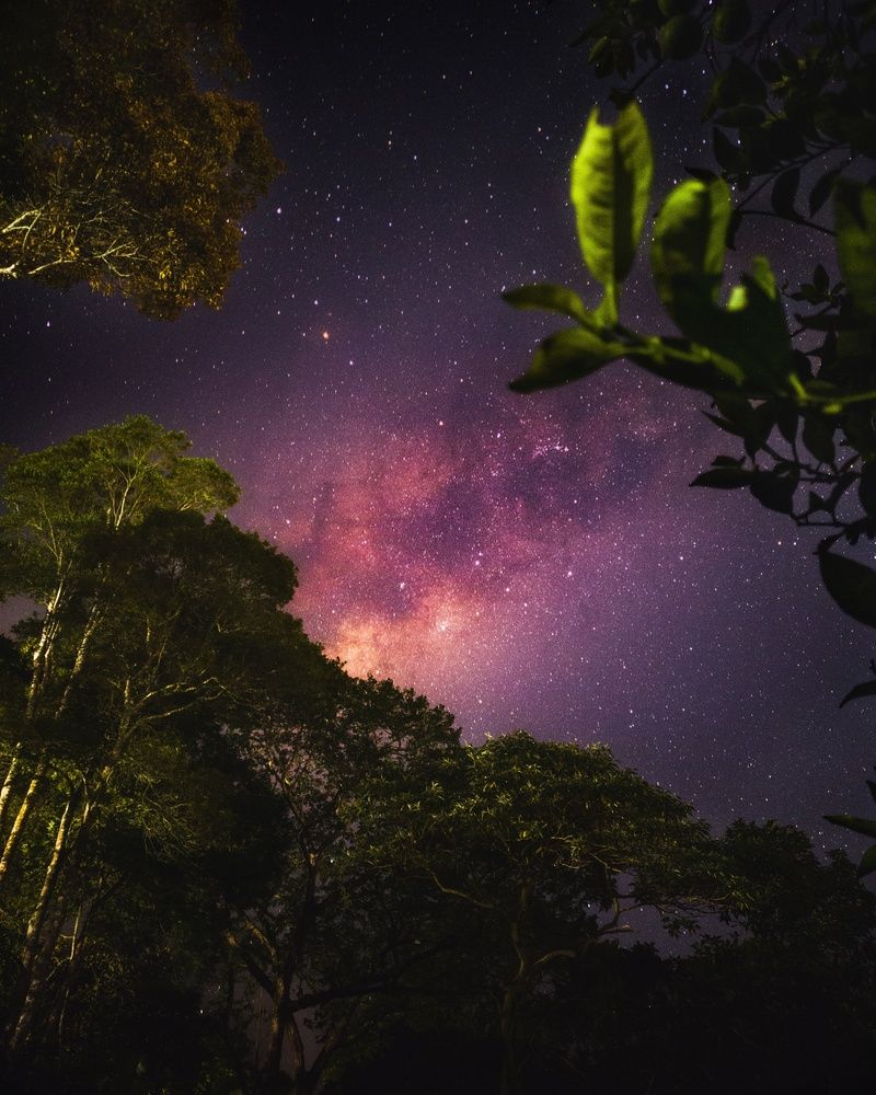 Photograph by Allan Carvalho