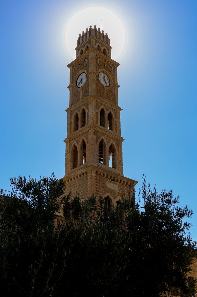 Photograph by Sharone