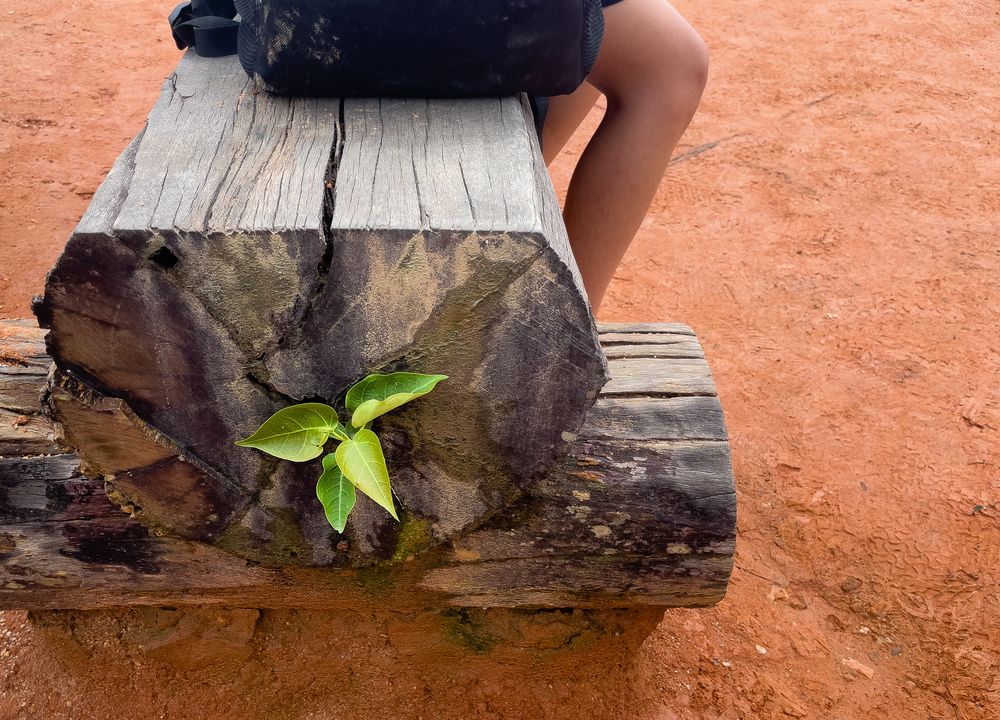 Фотография автора Minh Le