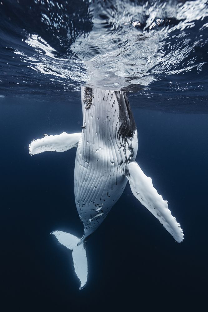 Photograph by Kurashima Daisuke