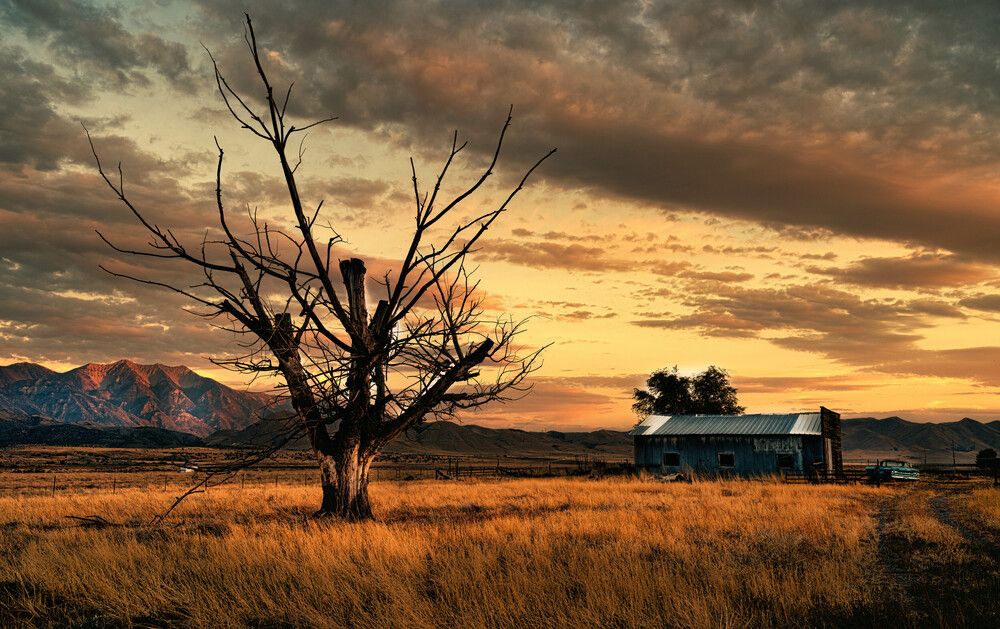 Photograph by Iosif Magomedov