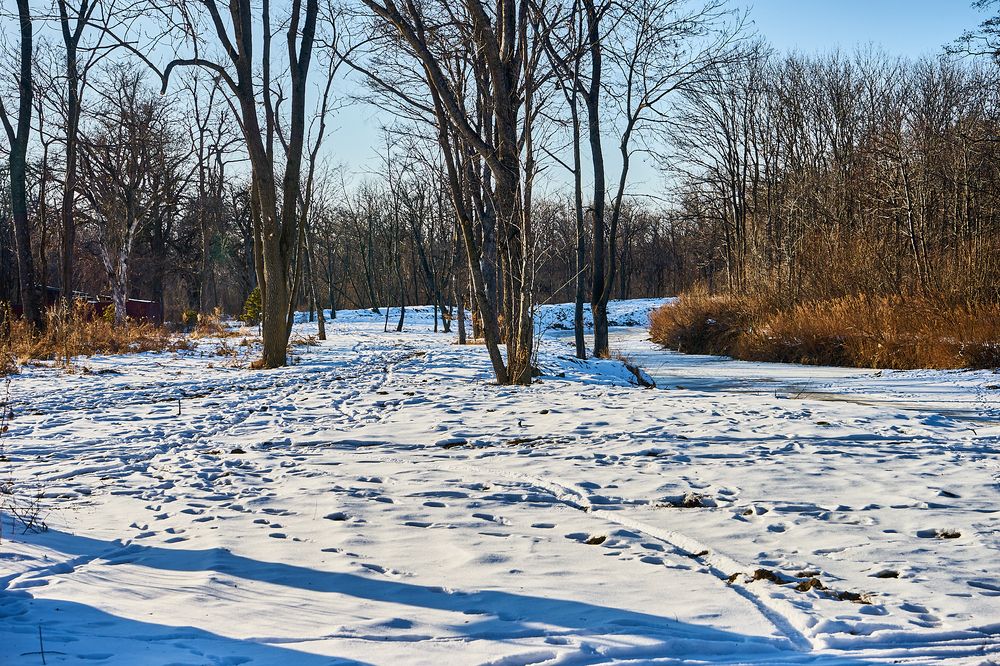 Photograph by Неман Лариса