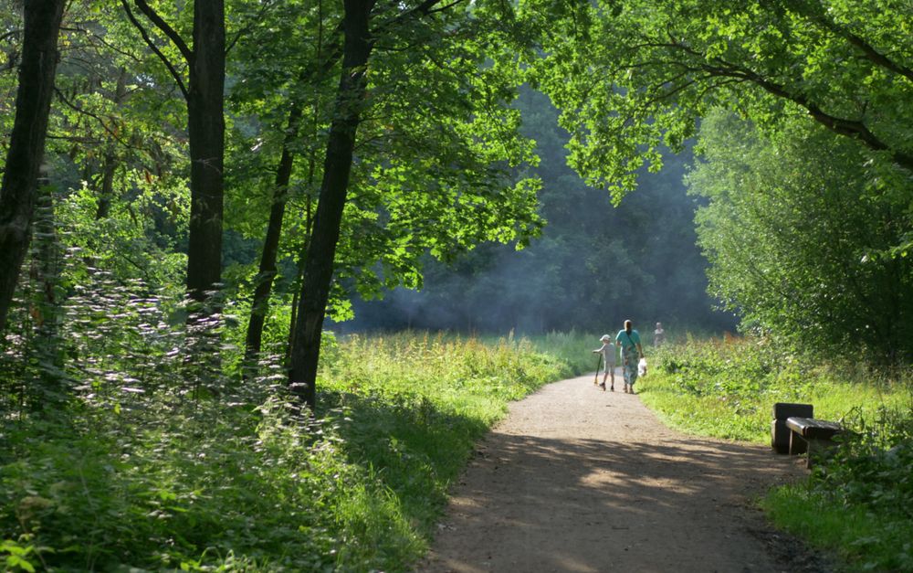 Парк Новознаменка