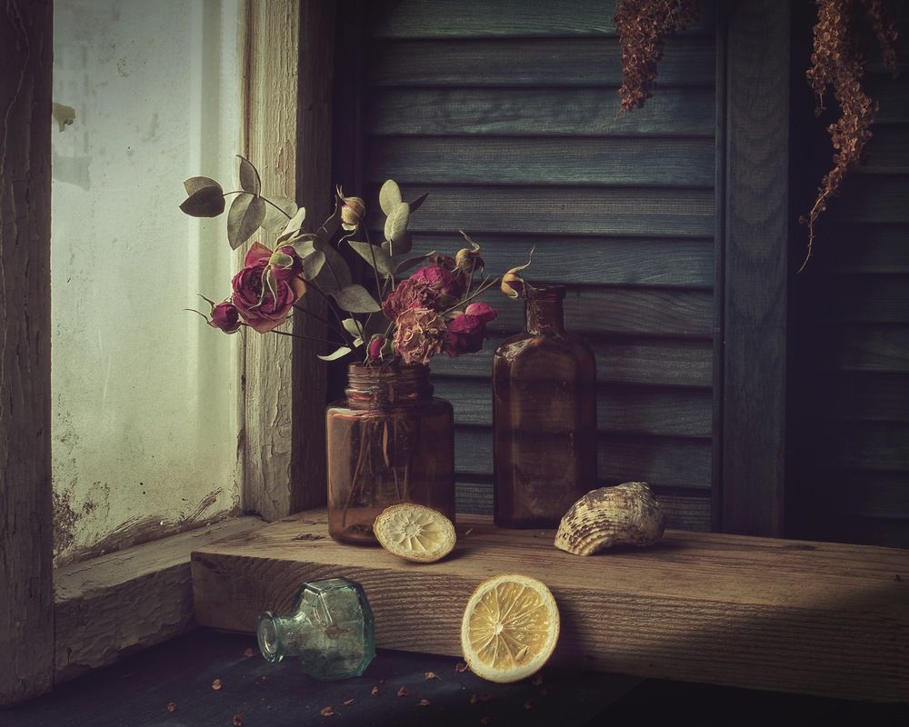 Фотография автора Viktoriya Shamanova