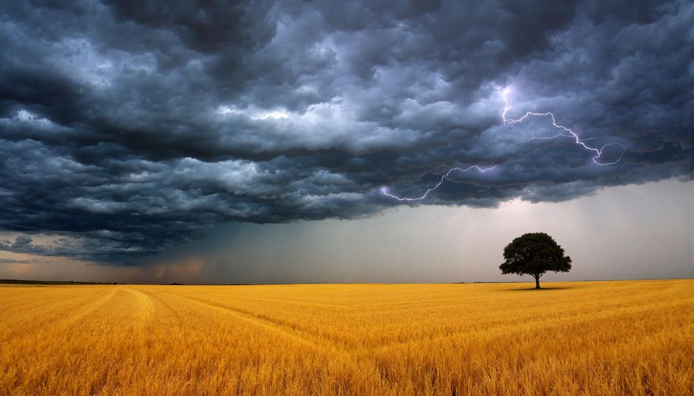 Photograph by Баландин Дмитрий