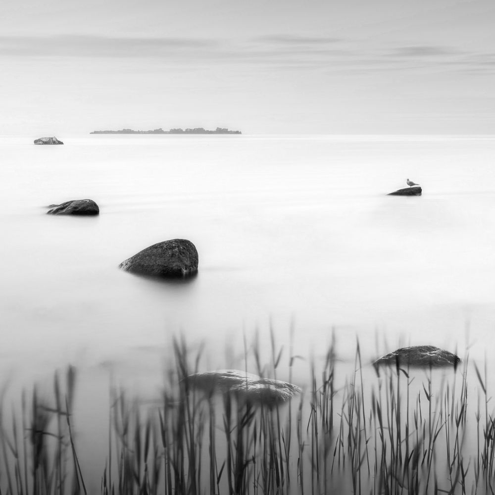 Photograph by Евгений Волосков