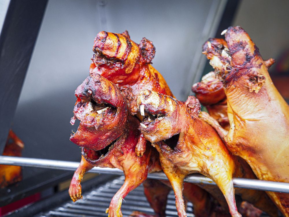 Фотография автора Camilo Rojas