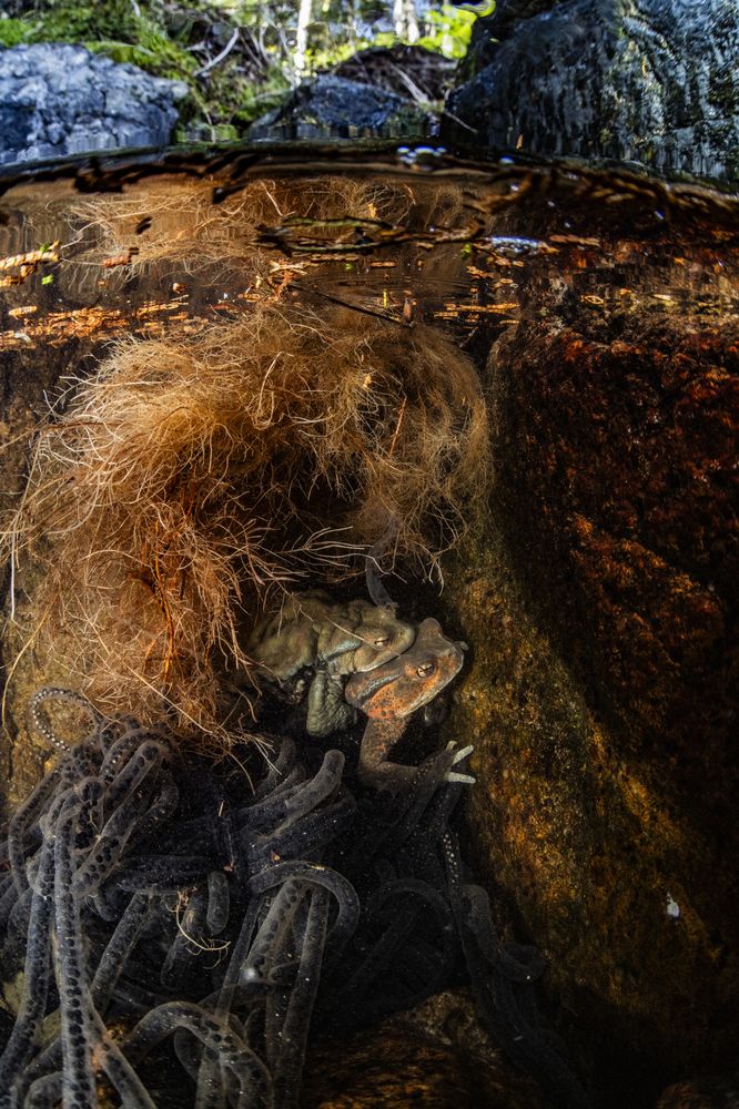 Photograph by Kurashima Daisuke