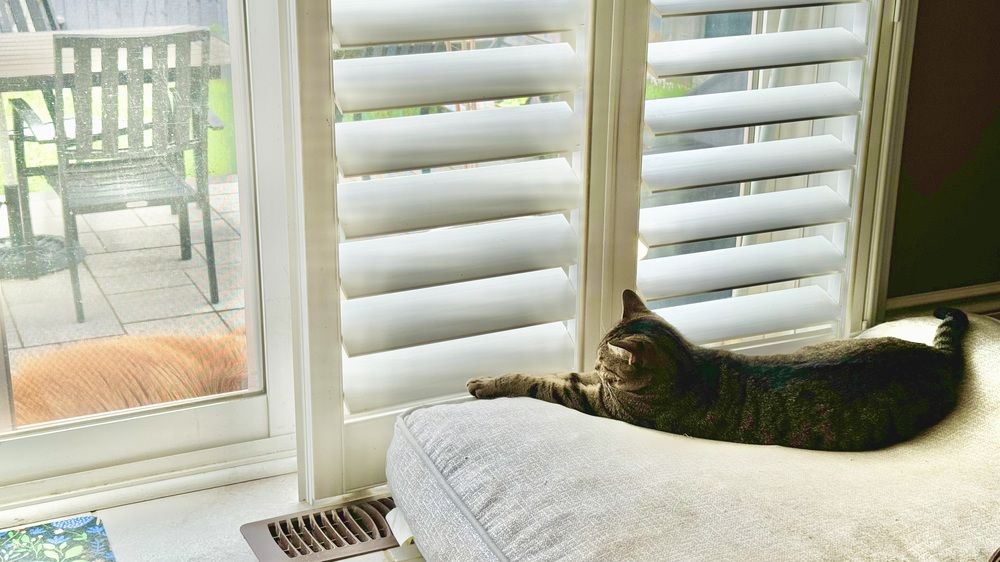 Фотография автора Francisco Ethige Silva