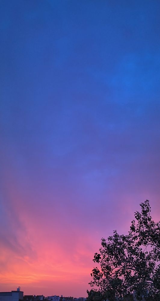 Photograph by Khushal Singhal