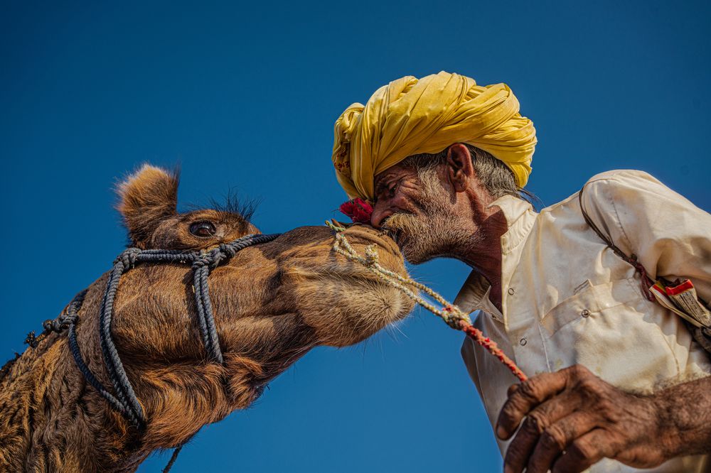 The Unconditional love of Jaisaram