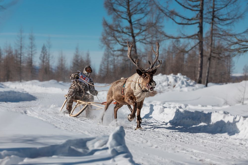 Photograph by Зарышнюк Роман