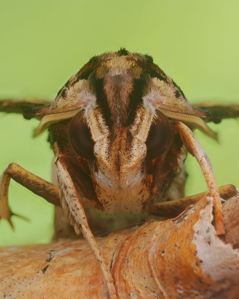 Photograph by Restito Carreon