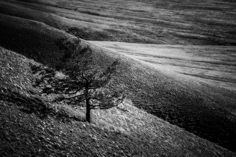 Photograph by Виктория Хадкевич