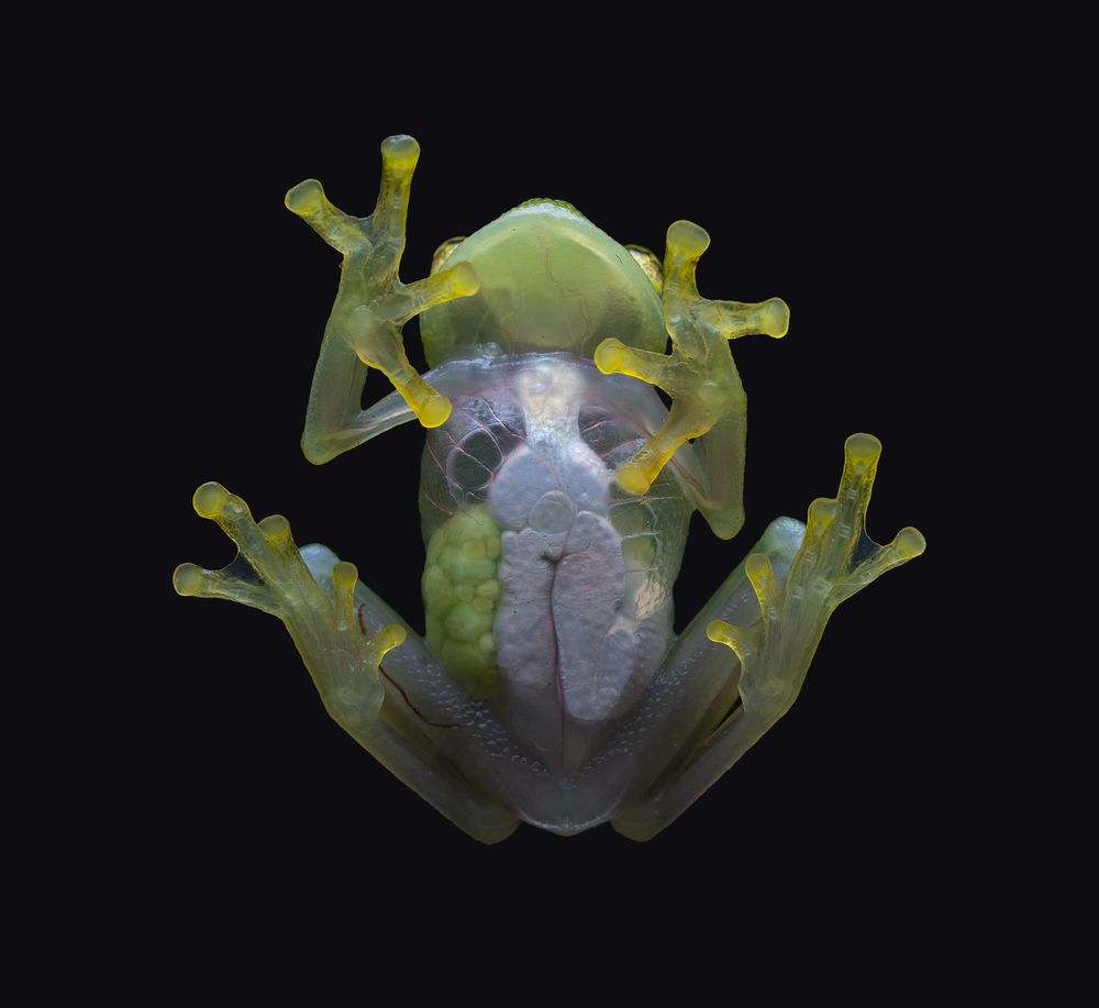 Photograph by Gerardo Ochoa