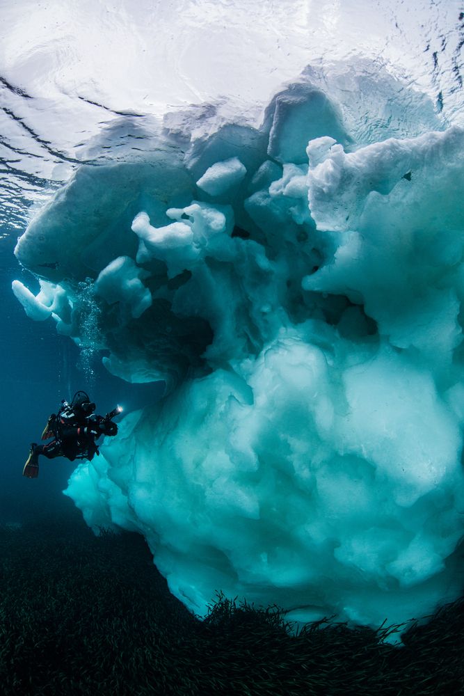 Photograph by Kurashima Daisuke