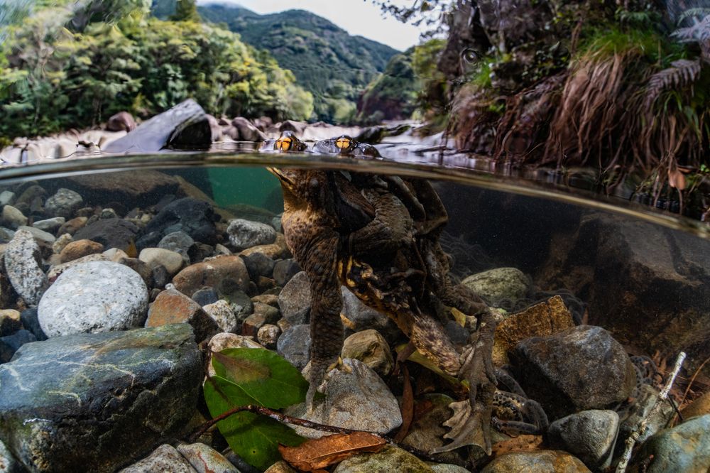 Photograph by Kurashima Daisuke