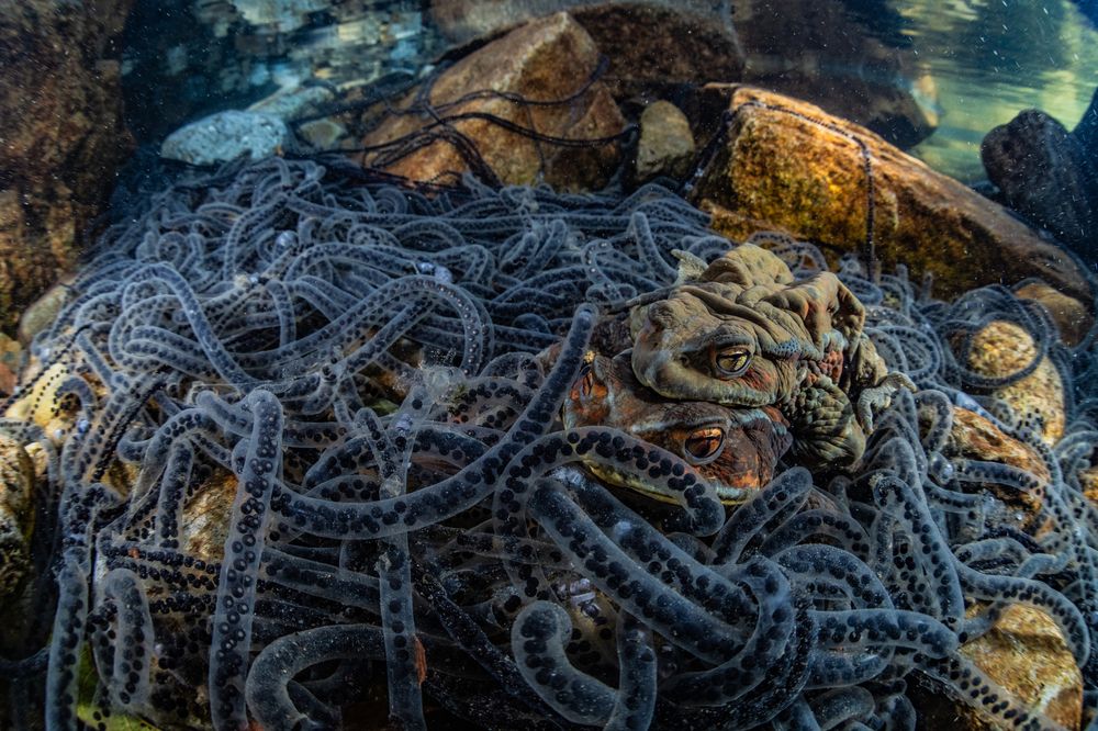 Photograph by Kurashima Daisuke