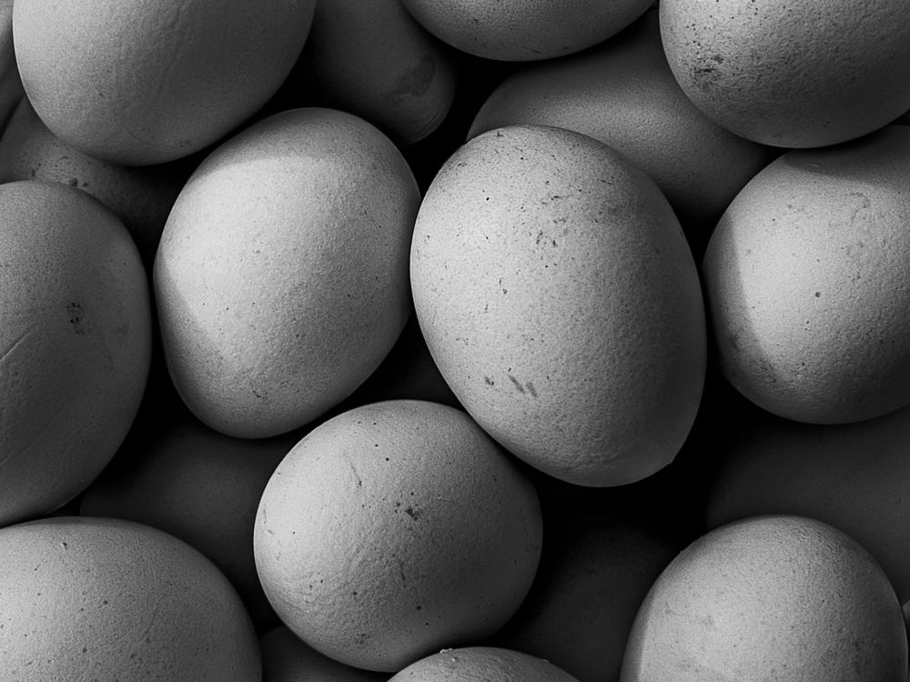 Photograph by Ольга Филатова