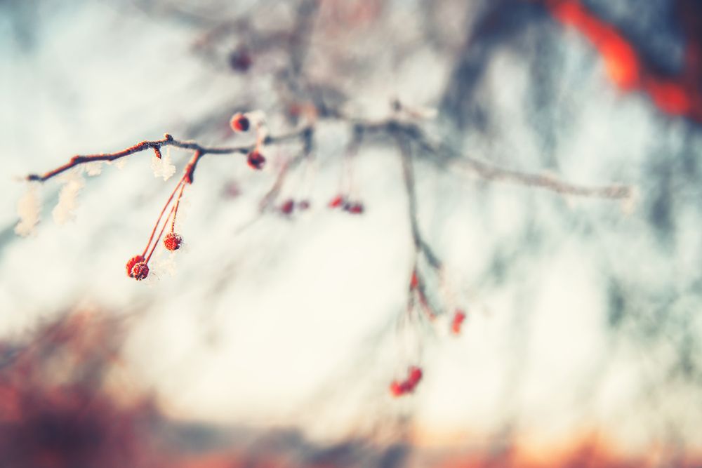 Photograph by Денис Илюхин