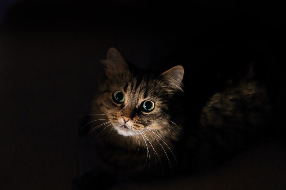 Photograph by Анастасия