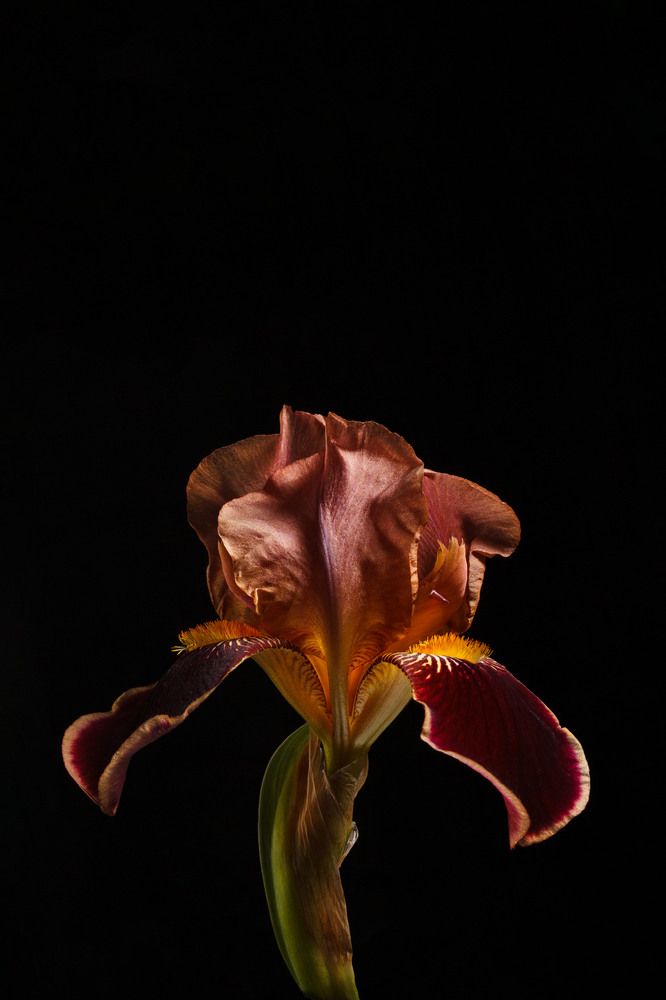 Photograph by Юлия Василенко