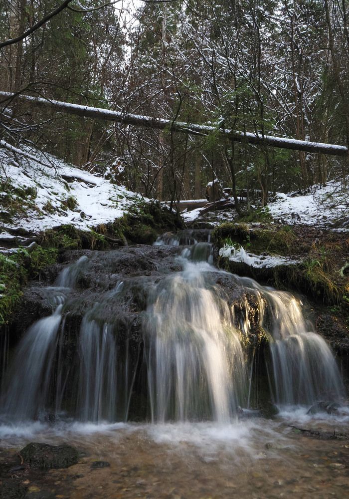 Photograph by Алексей Поляков