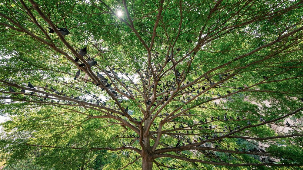 Photograph by Dat Ninh