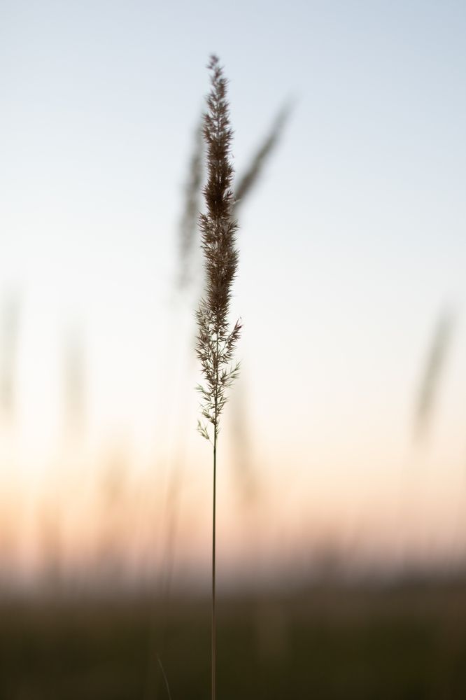 Фотография автора Мария Щеголькова
