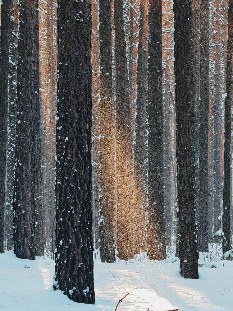 Фотография автора Юлия Есина