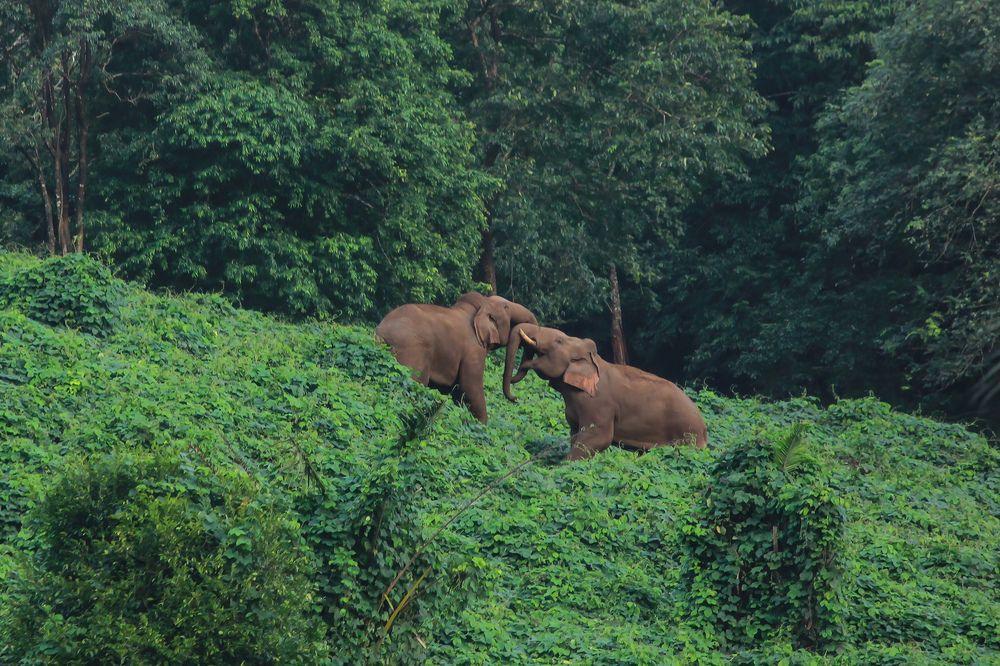 Photograph by Subin KS