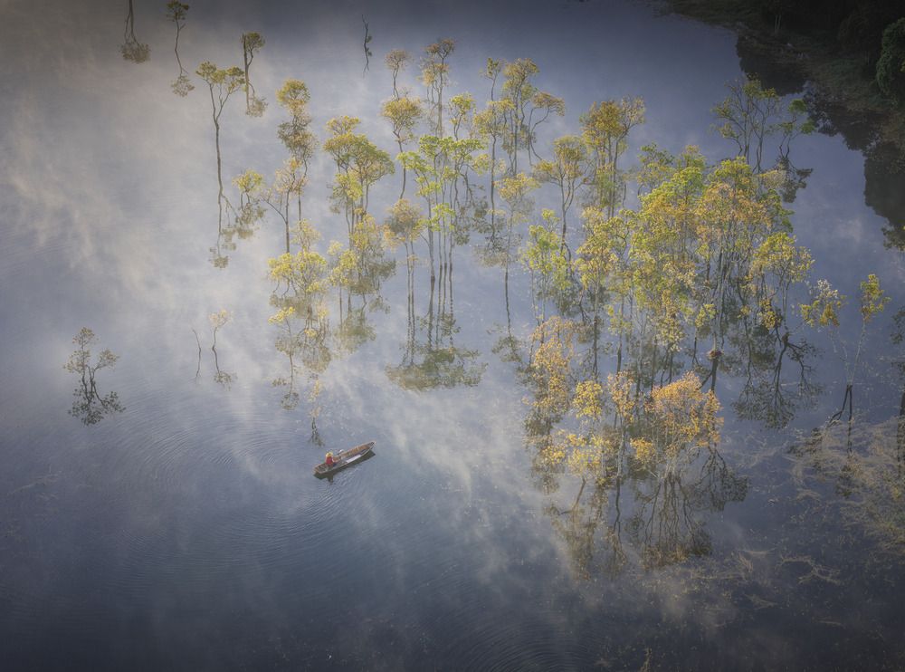 Фотография автора NGUYEN NGOC SON
