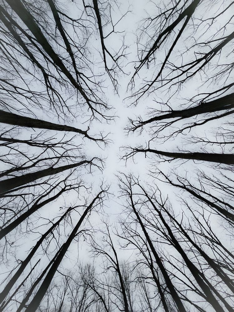 Photograph by Сергей Кесаев