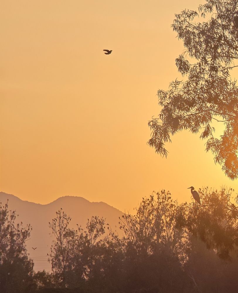 Фотография автора 馮贊謙