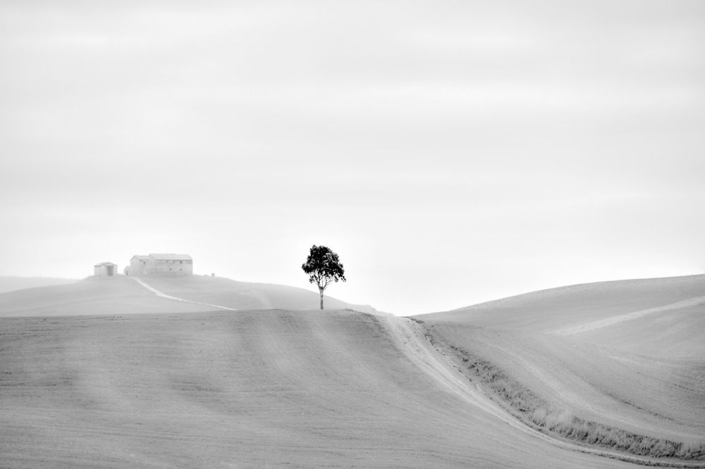 Photograph by Tommaso Henry Corona