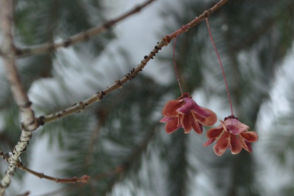 Photograph by Панов Константин