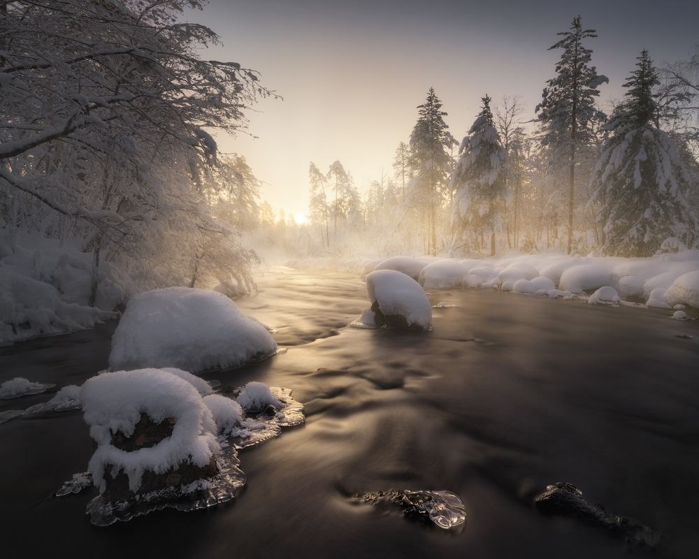 Photograph by Медянцев Дмитрий