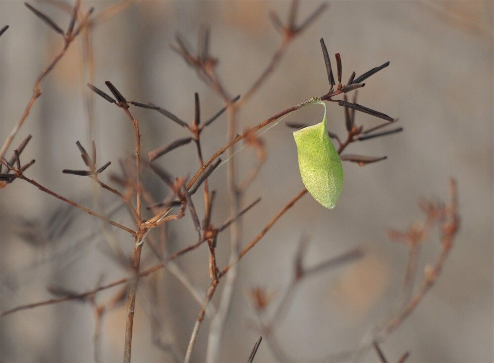 Photograph by Панов Константин