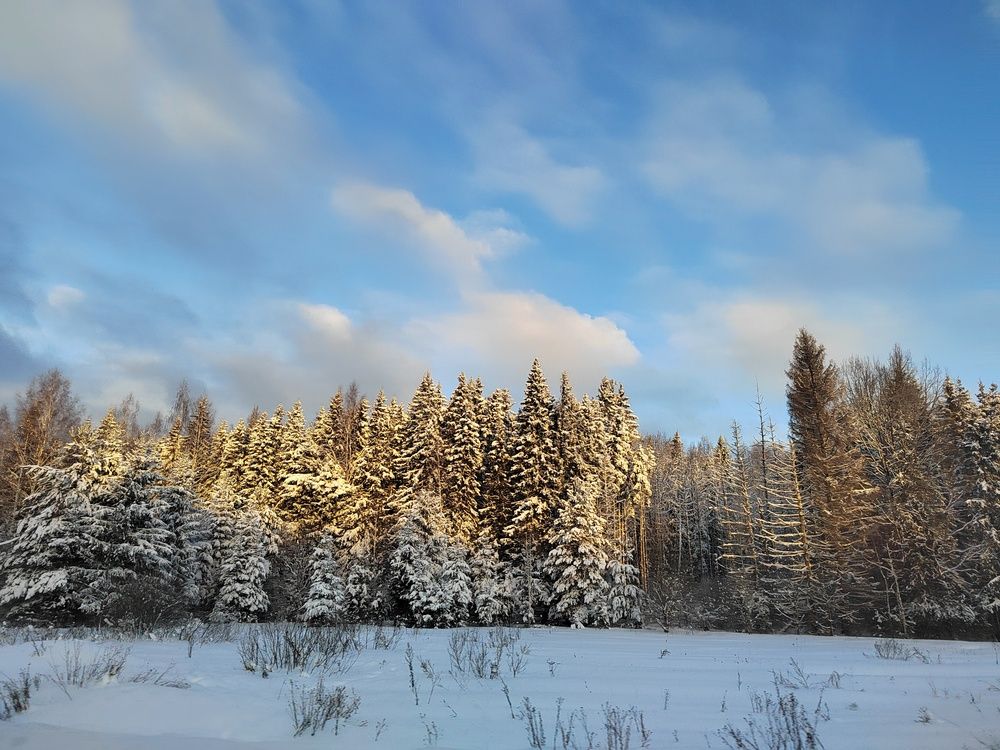 Photograph by Евстигнеев Евгений Васильевич