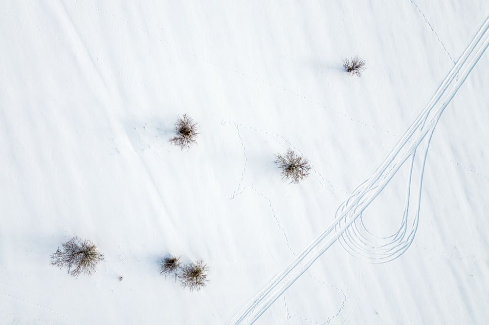 Photograph by Сергей Ларин